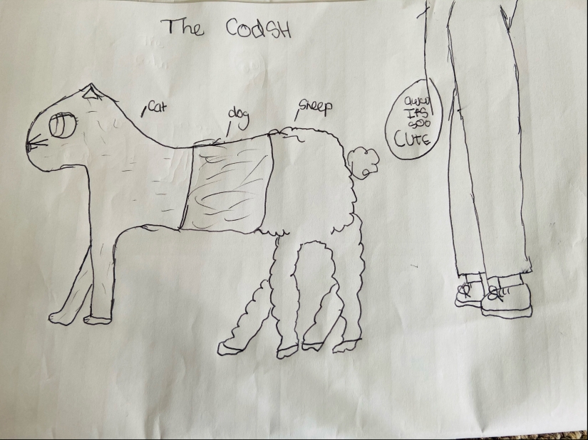 The Codsh, submitted by Humayra age 9